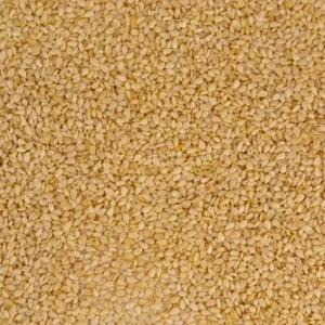 Sesame Seeds