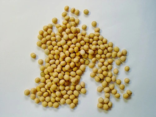 Soy-beans Soy Beans